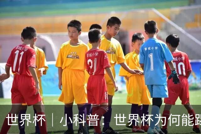 世界杯｜小科普：世界杯为何能踢出那么大的分差？