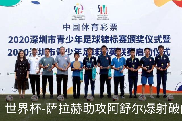 世界杯-萨拉赫助攻阿舒尔爆射破门 埃及半场1-0比利时